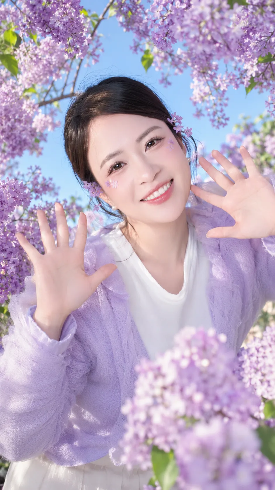 Lilac Bloom Hello – Lời Chào Dưới Vòm Hoa Tím